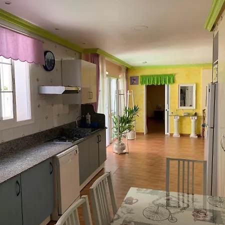 Delfines * El Médano