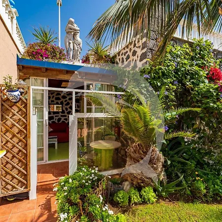 Delfines Apartamento El Médano