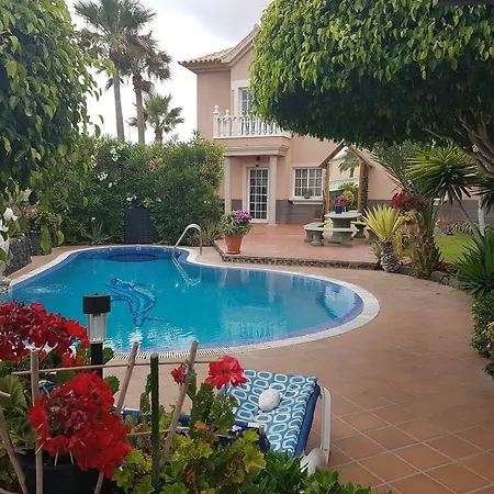 Delfines * El Médano