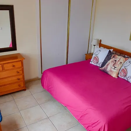 Delfines * El Médano