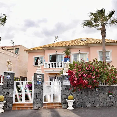 Delfines * El Médano