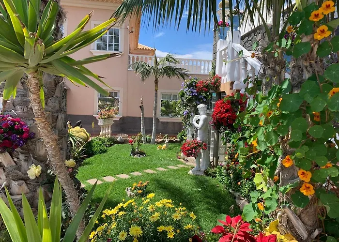 Apartmán Delfines *