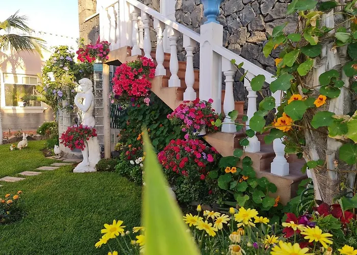 Delfines Appartement *