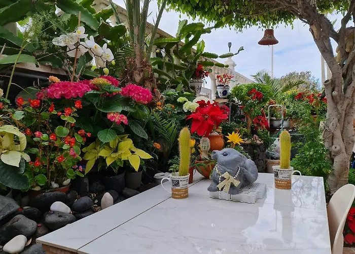 Delfines Appartement