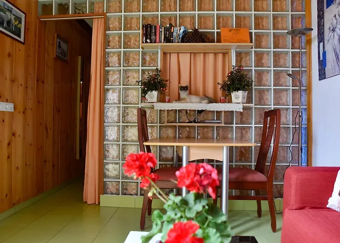 Appartement Delfines