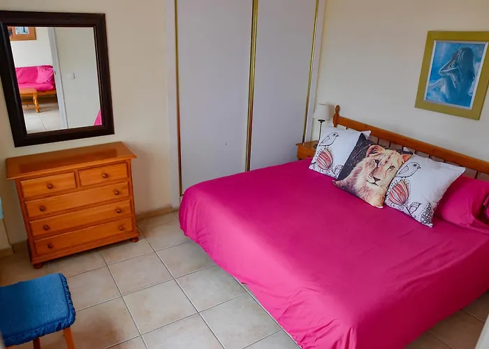 Delfines * El Médano