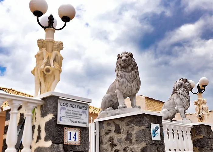 Delfines Appartement El Médano