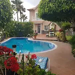 Delfines * El Médano