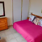 Delfines * El Médano